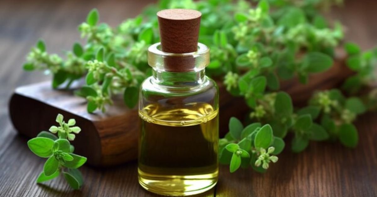 Oregano Oil